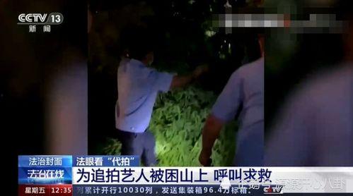 明星新闻爆料人,揭秘人生百态，娱乐圈背后的真实故事  第3张